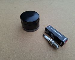 Logic Rotary mower oil filter and spark plug