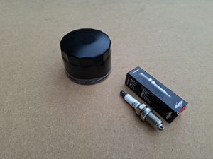 Logic Rotary mower oil filter and spark plug - 