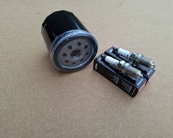 Logic Scrub buster Flail Oil filter and spark plugs