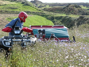Logic Seed Harvesters - 